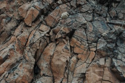Petra : Découvrir les 7 Merveilles sculptées dans le grès rouge
