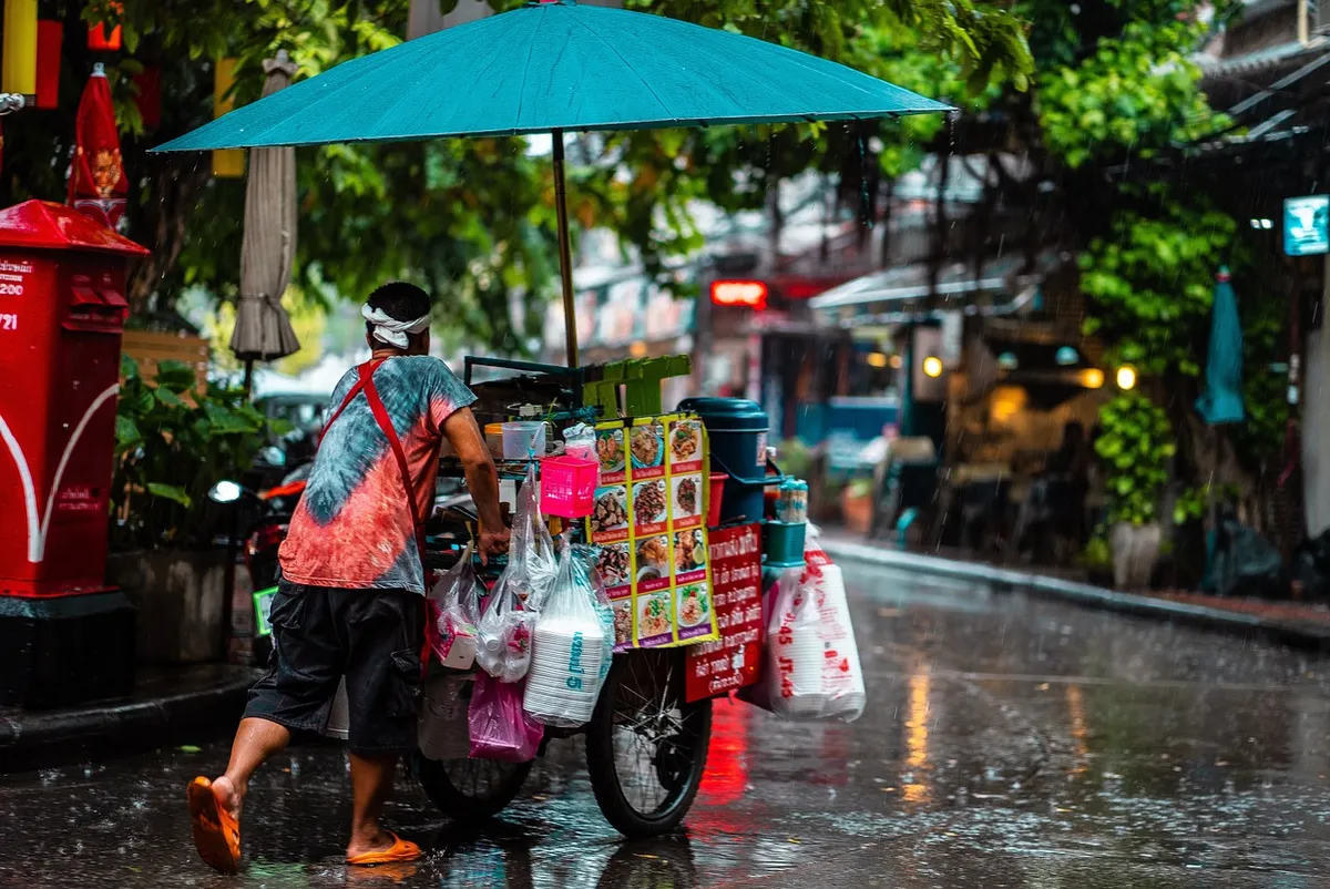 man, cart, street food, culture, rain, umbrella, nature, puddle, weather, wet, city