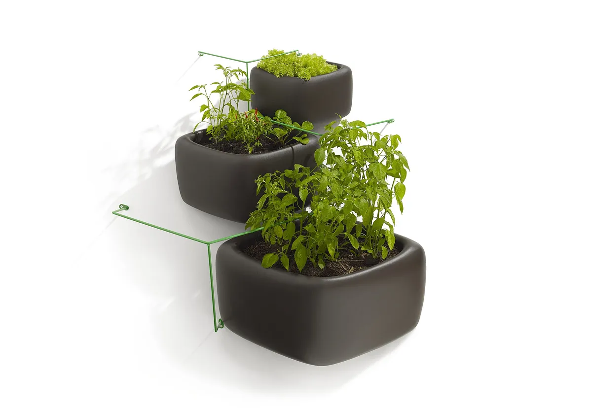 Wallflowerᵀᴹ Urban Garden designed by Haldane Martin, is a modular planter system that is designed to enable city dwellers to grow veggies and other plants on v