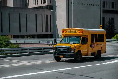 School Size 120: Your Guide to NYC Education