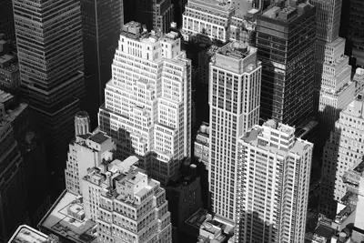 How did the population density change during the decade?