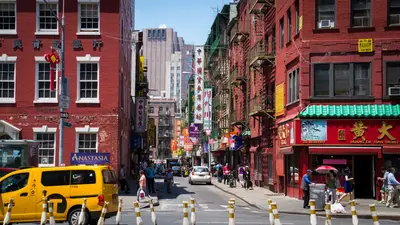 Asian population diversity: NYC Asian population diversity
