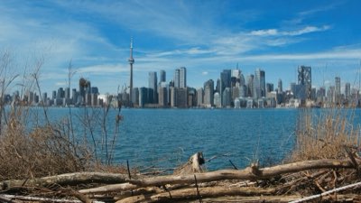 Toronto Guide: Beste Tipps für die Stadt erkunden 10